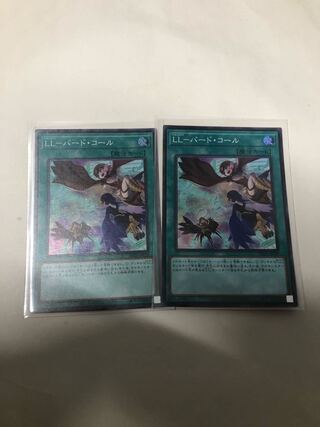 LL-バード・コール2枚セット