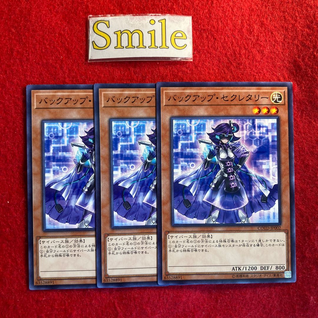 バックアップ・セクレタリー#2349