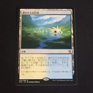 溢れかえる岸辺 日本語