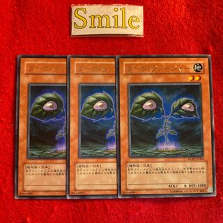 ダーク・ヴァージャー#2359