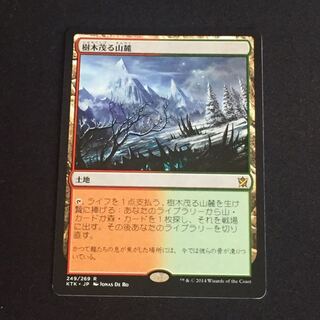 樹木茂る山麓 じゅもくしげるさんろく 日本語