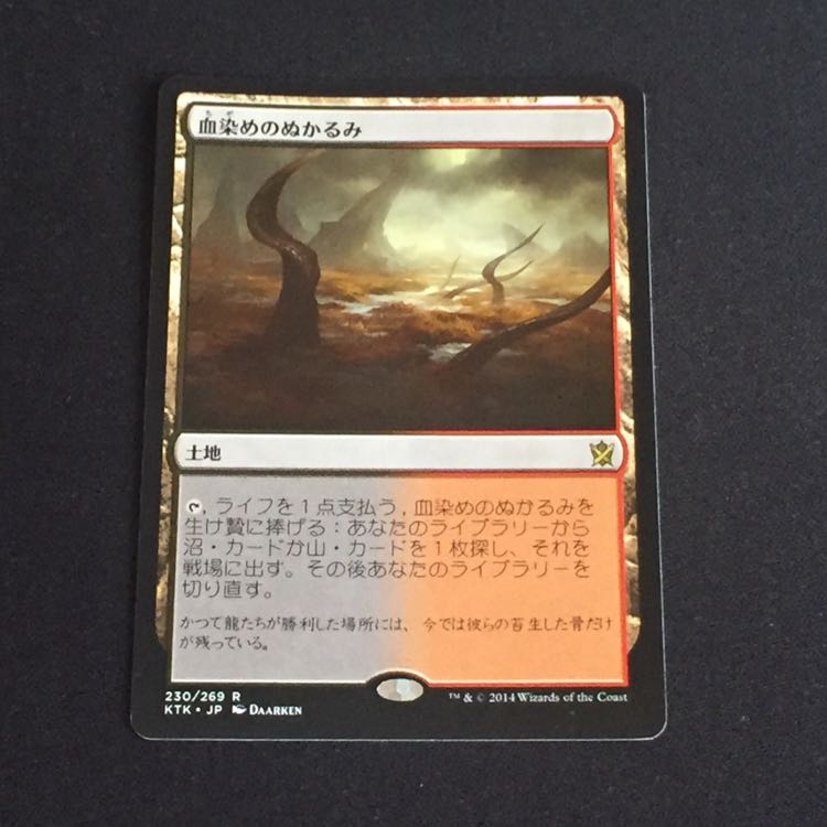 血染めのぬかるみ 日本語