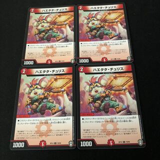 ハエタタ・チュリス