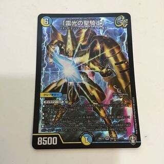 「雷光の聖騎士」