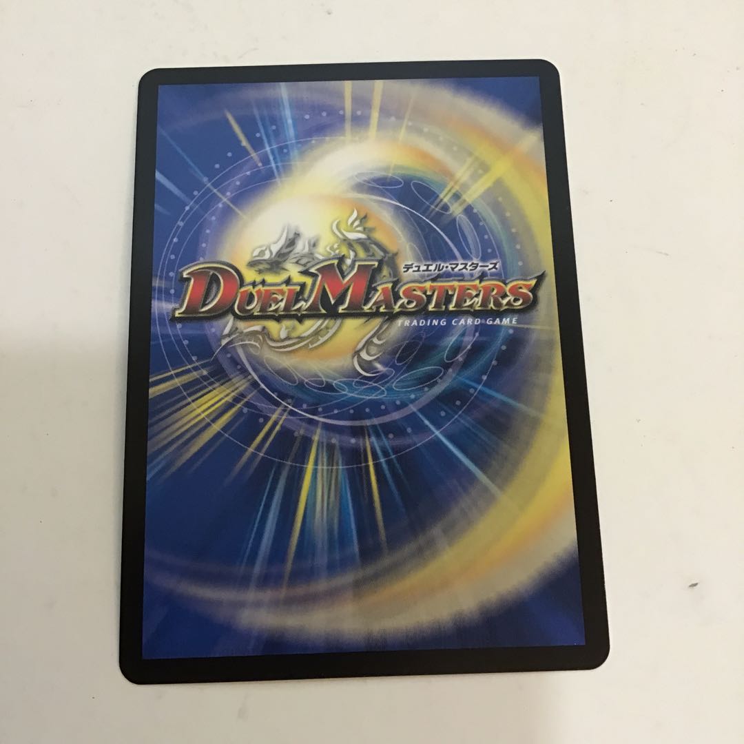 「雷光の聖騎士」