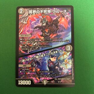 冥界の不死帝 ブルース｜「迷いはない。俺の成すことは決まった」