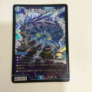 水上第九院 シャコガイル