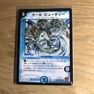 クール・ビューティー