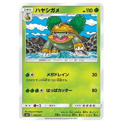 2枚目以降100円引/SMH-005 ハヤシガメ