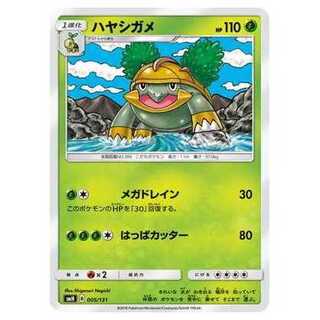 2枚目以降100円引/SMH-005 ハヤシガメ