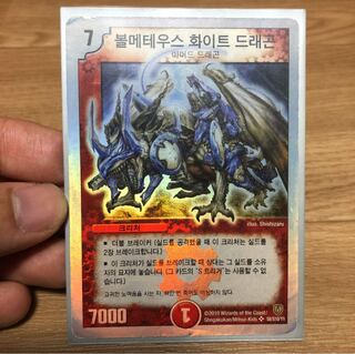 専用 ボルメテウスホワイトドラゴン