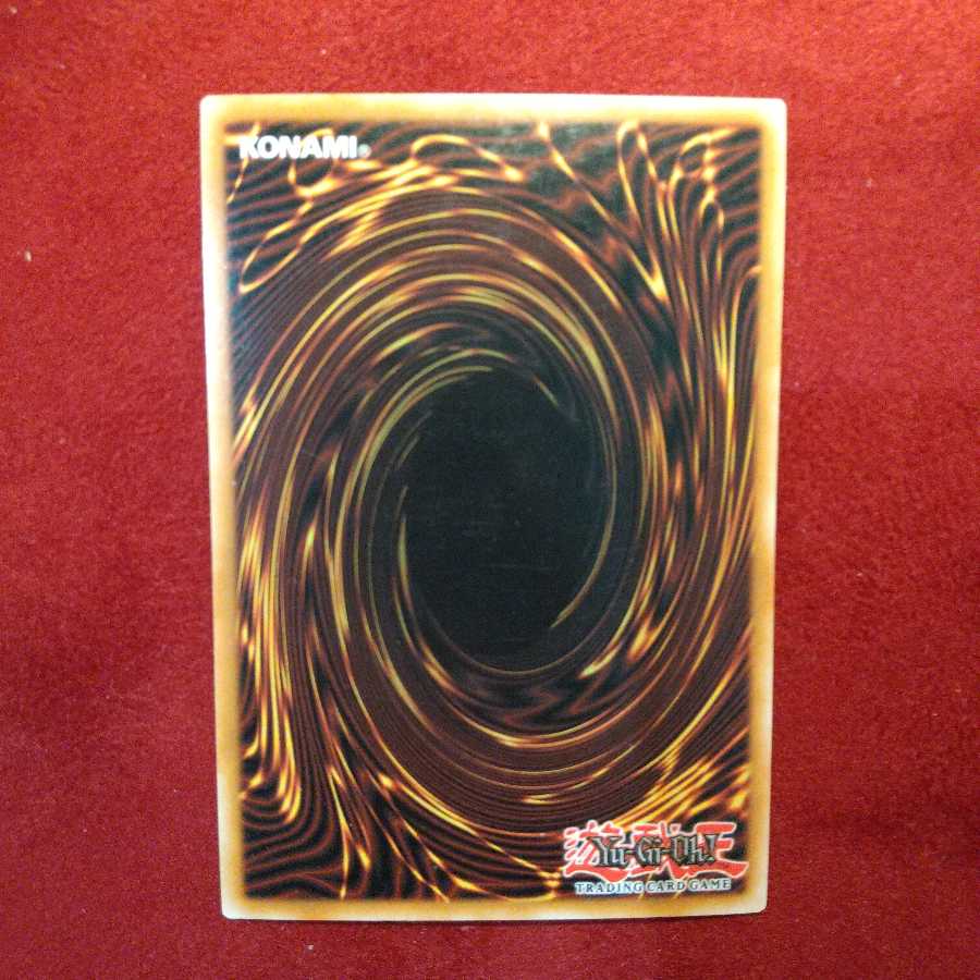 ヤマドラン　英語　スーパーレア