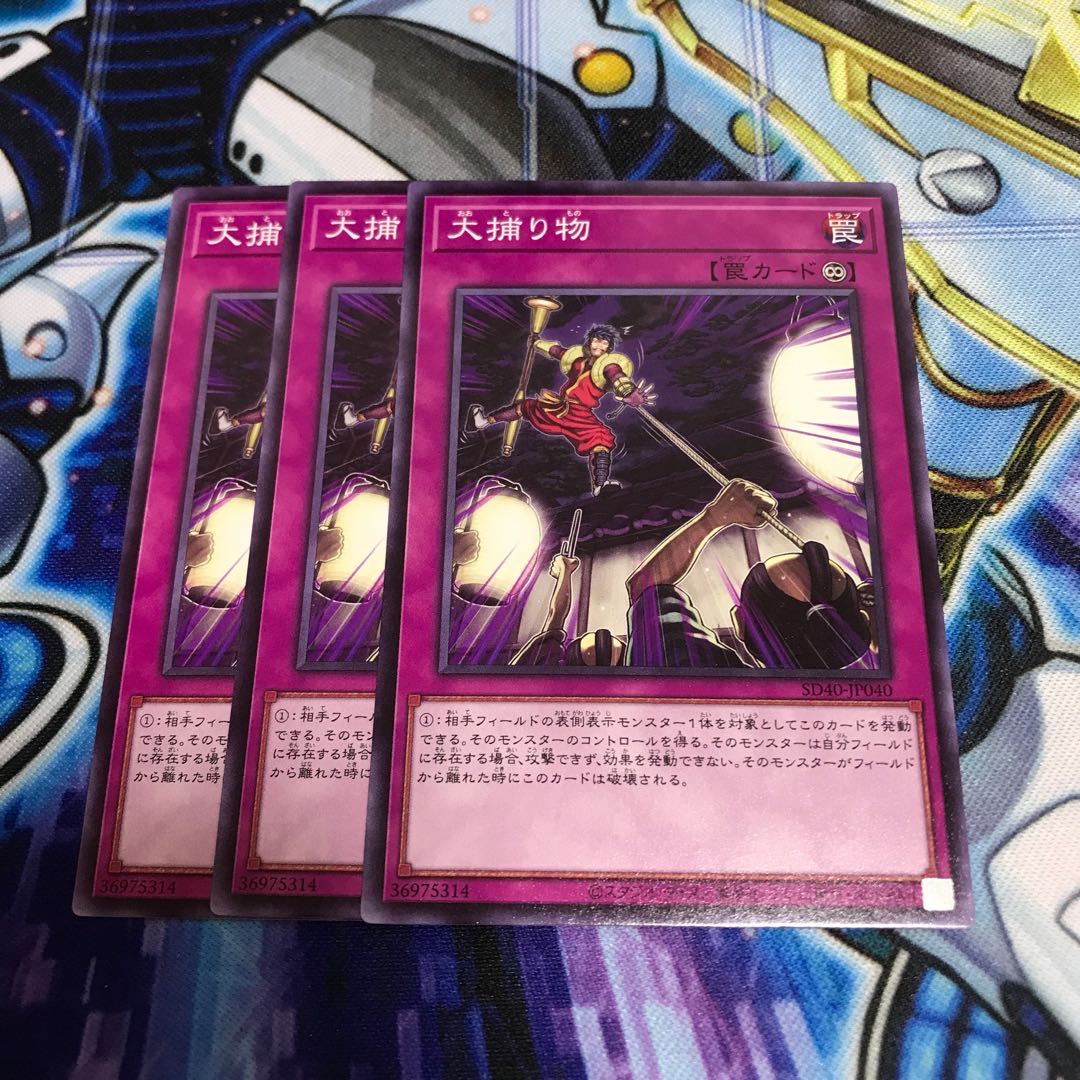 大捕り物 ノーマル Hulu 896