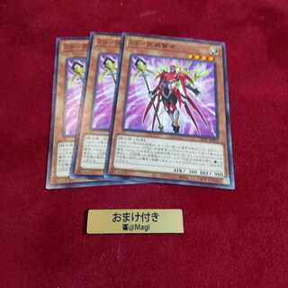 ZS-武装賢者 ノーマル