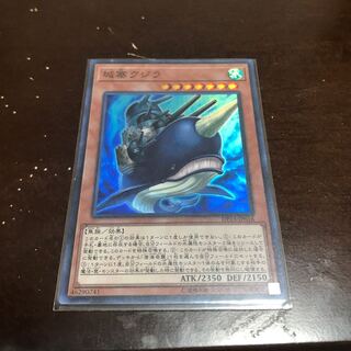 Citadel Whale Super Rare