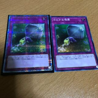 のどかな埋葬 スーパー 20thシク