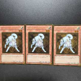 Ryko, Lightsworn Hunter [Gold Rare