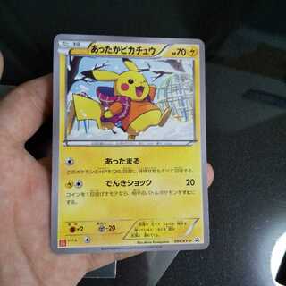 Warm Pikachu Lowest Price