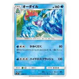 100 off after the second copy/SMH-026 Feraligatr