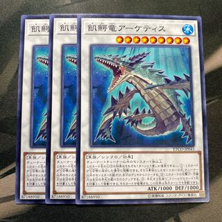 飢鰐竜アーケティス ノーマル