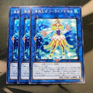 Marincess Coral Anemone Normal