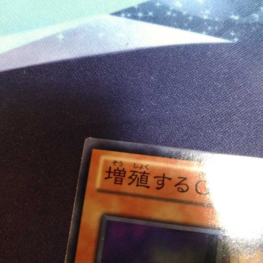 【遊戯王】増殖するＧ N 3枚