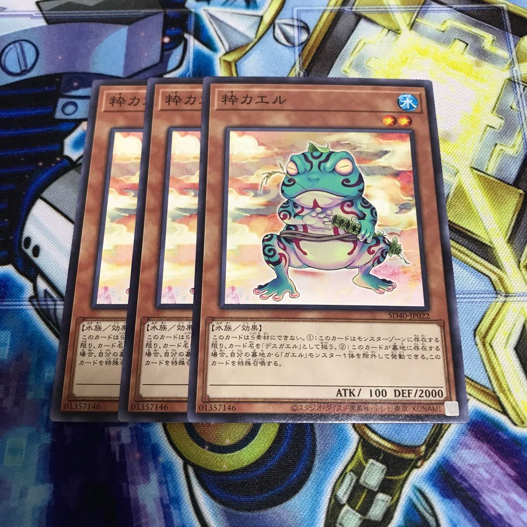 粋カエル ノーマル Hulu 936