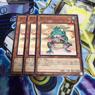 粋カエル ノーマル　Hulu 936