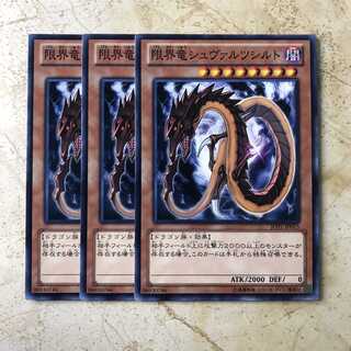 限界竜シュヴァルツシルト　ノーマル（3枚）