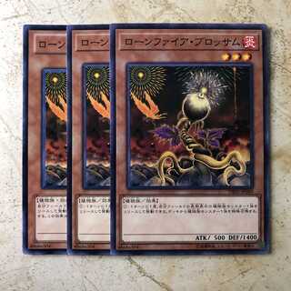 ローンファイア・ブロッサム　ノーマル（3枚）