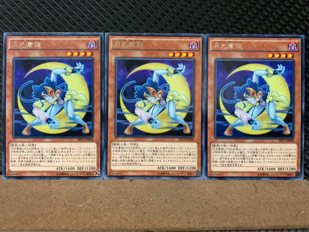 【ぽぽたん】遊戯王 7481 月光蒼猫 3枚 レア