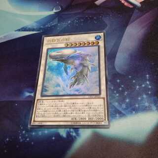 【遊戯王】白闘気白鯨 UR