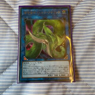 捕食植物ヴェルテ・アナコンダ ウルトラレア