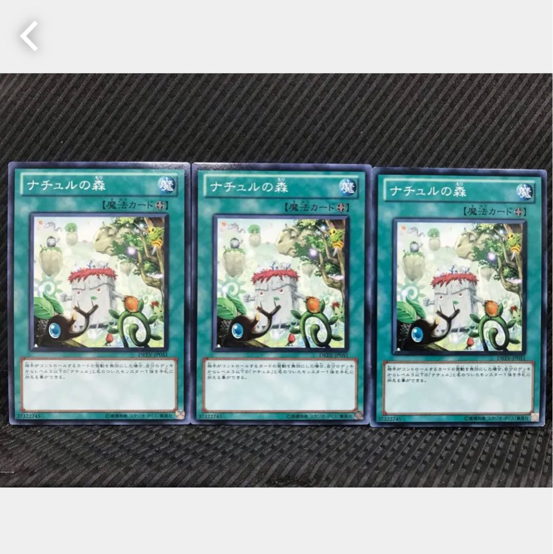 【ぽぽたん】遊戯王 83 ナチュルの森 3枚 ノーマル
