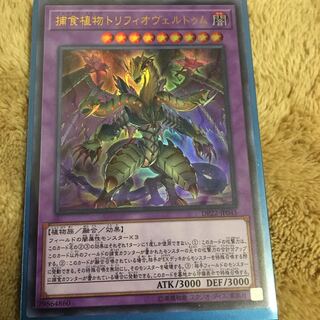 捕食植物トリフィオヴェルトゥム