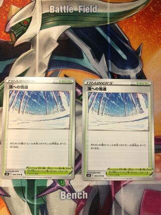 そら豆様専用　頂への雪道4枚、カビゴン