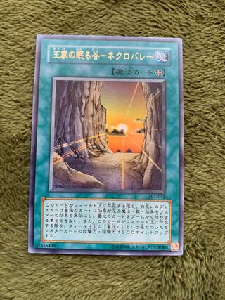 王家の眠る谷-ネクロバレー　ウルトラ