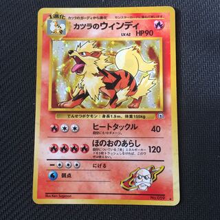 Windy of Katsura Old back