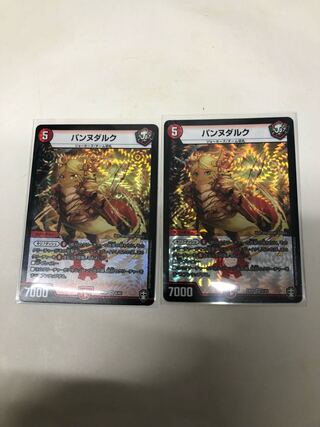 パンヌダルク2枚セット 2枚