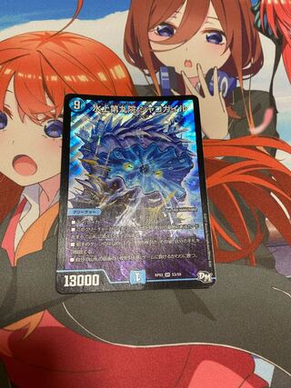 水上第九院 シャコガイル