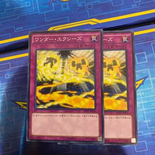 ワンダー・エクシーズ