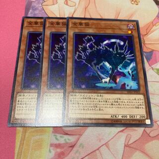 金華猫 ノーマル　3枚特価品