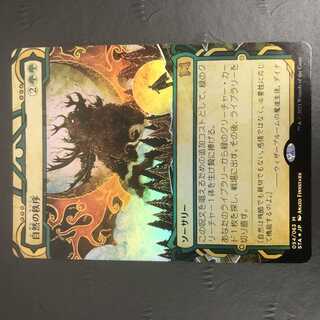 MTG 自然の秩序 foil