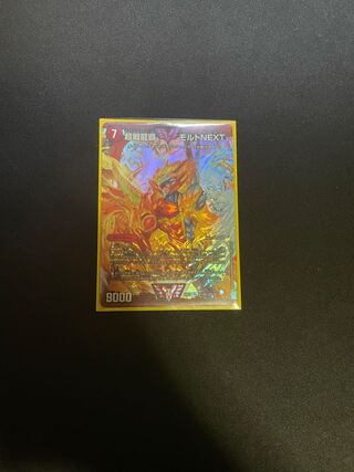 ゴットシーカー様専用　超戦龍覇 モルト NEXT