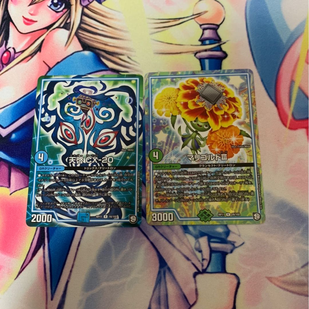 天啓とマリゴルド