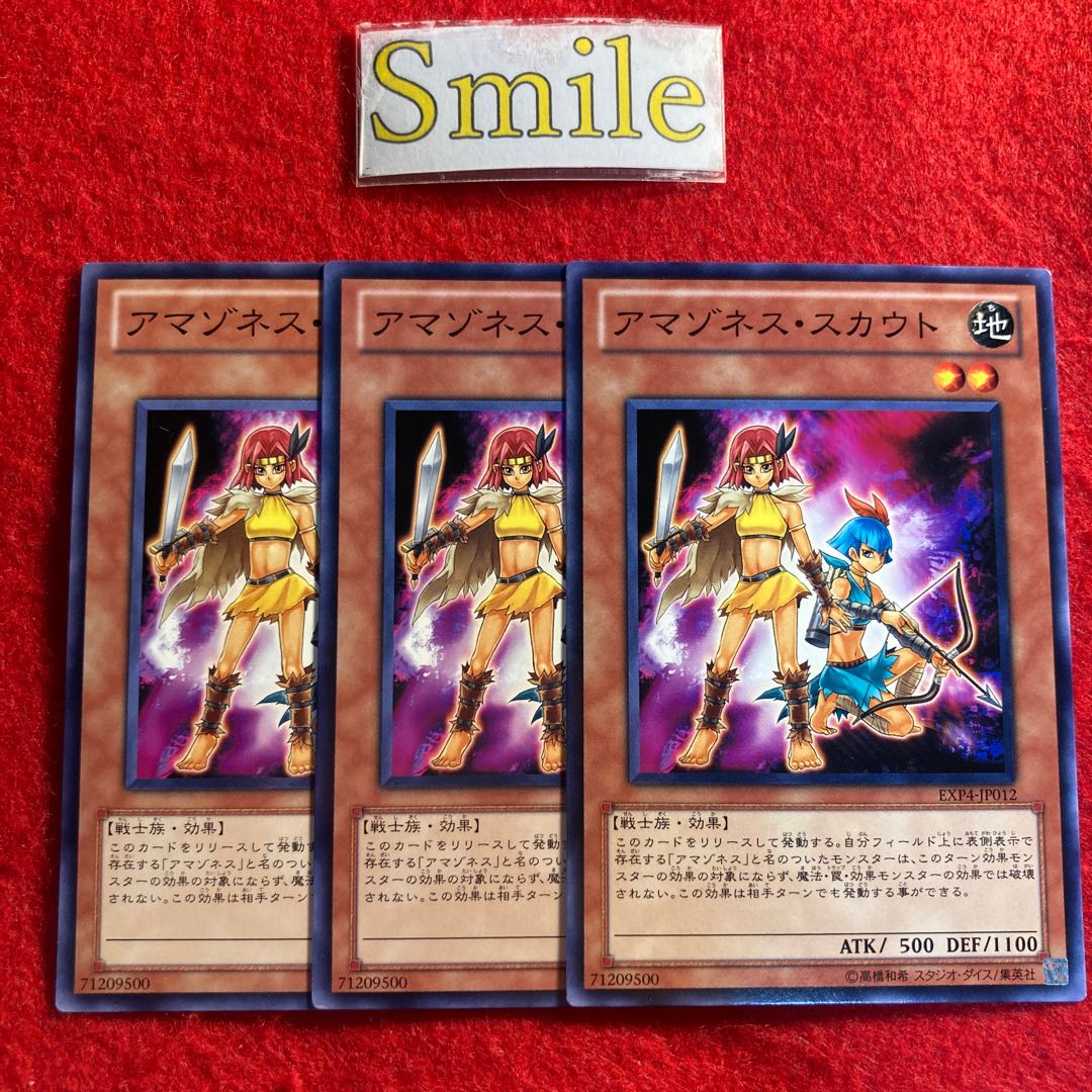 アマゾネス・スカウト#2400