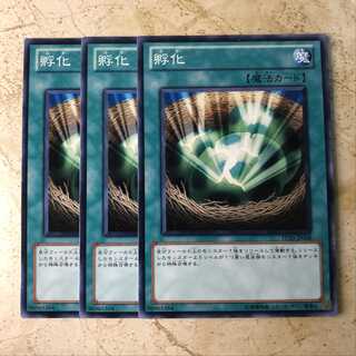 孵化　ノーマル（3枚）