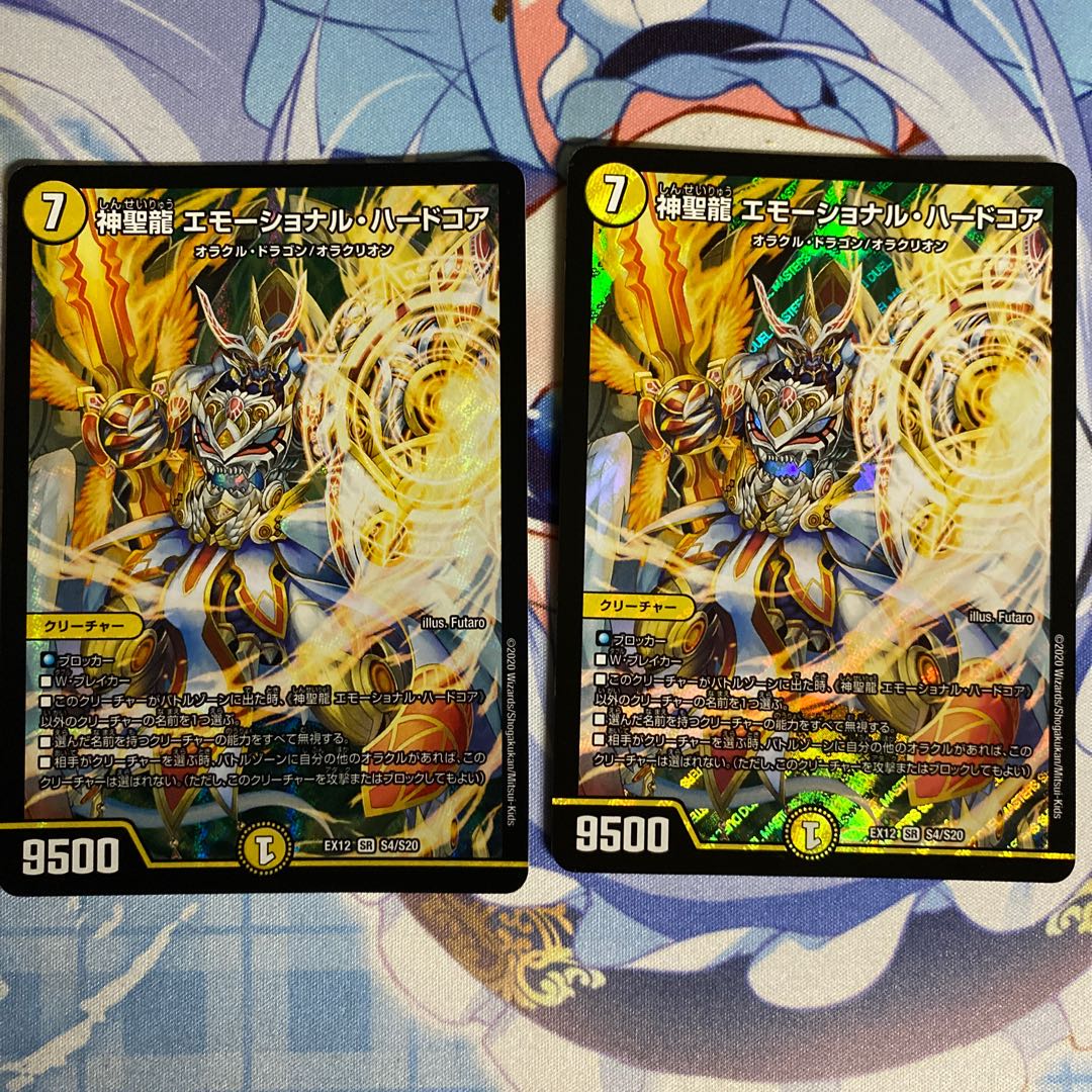 神聖龍 エモーショナル・ハードコア