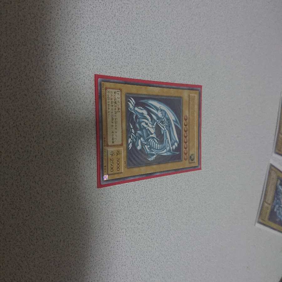 ブルーアイズホワイトドラゴン