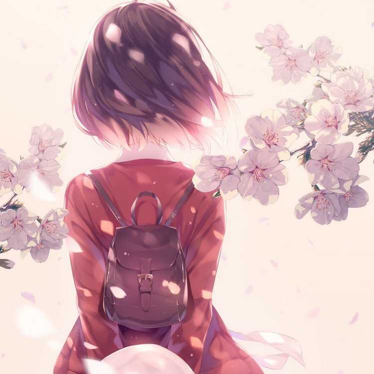 Dedicated to Mr. gorasu